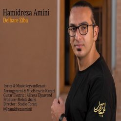دانلود آهنگ حمیدرضا امینی دلبر زیبا